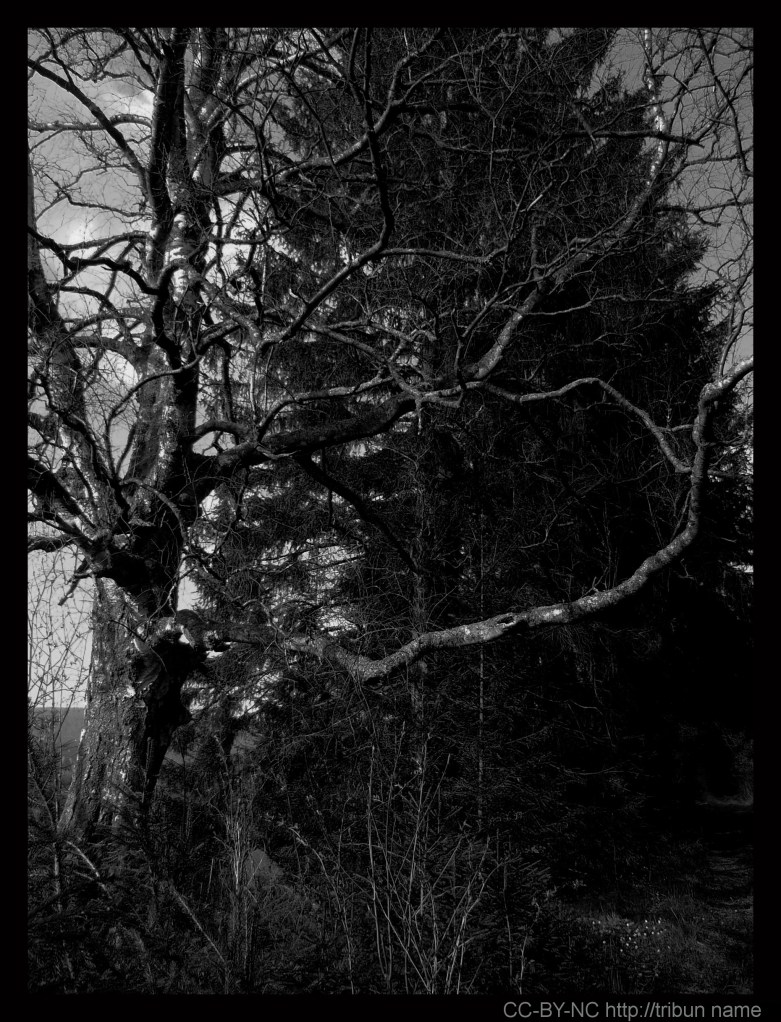 Druhý. Proč zrovna on je druhý? Protože není první.